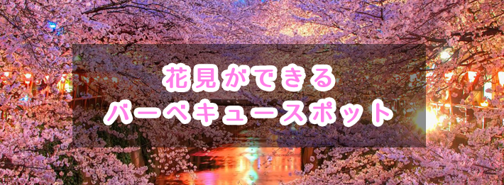 広島の花見 名所でバーベキュー q太郎