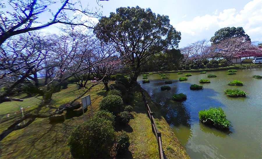 桜と池の組み合わせは城山公園でしか見れません