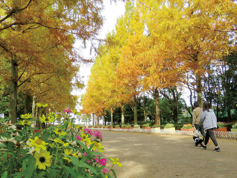 草加市/埼玉県/そうか公園/BBQ/バーベキュー/レンタル/配達/手ぶら/花見/紅葉