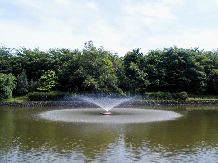 草加市/埼玉県/そうか公園/BBQ/バーベキュー/レンタル/配達/手ぶら/花見/紅葉