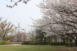 沼辺公園 スポーツ+BBQ