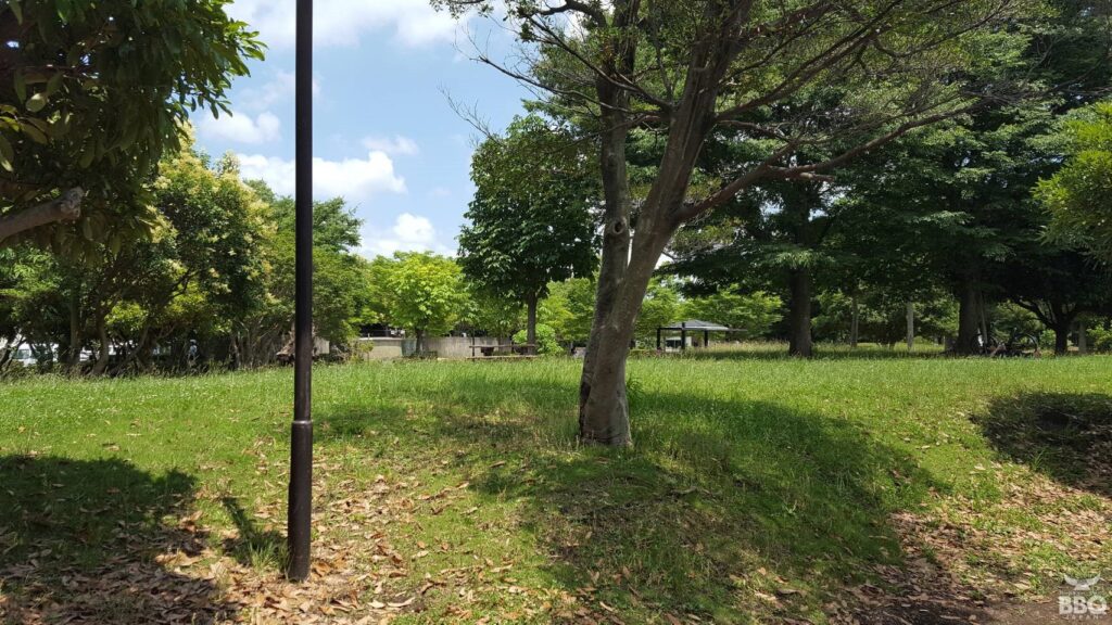 「沼辺公園」