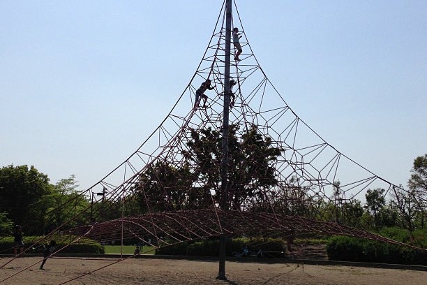 沼辺公園 約100本の桜・じゃぶじゃぶ池・大型遊具が魅力