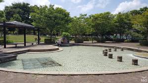 沼辺公園 約100本の桜・じゃぶじゃぶ池・大型遊具が魅力