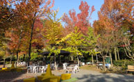 油山市民の森バーベキュー情報