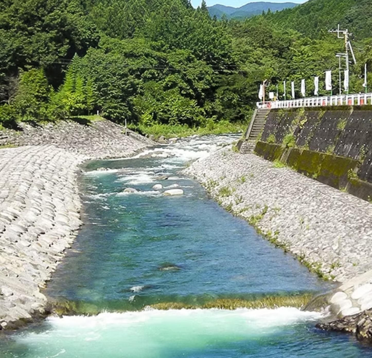 西 大 芦川