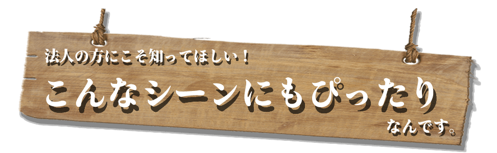 こんなシーンにもぴったりなんです