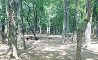 光が丘公園