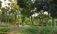 大谷田公園