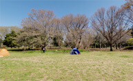 小金井公園