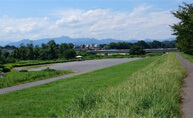 多摩川中央公園（福生市）