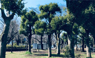 三鷹市農業公園