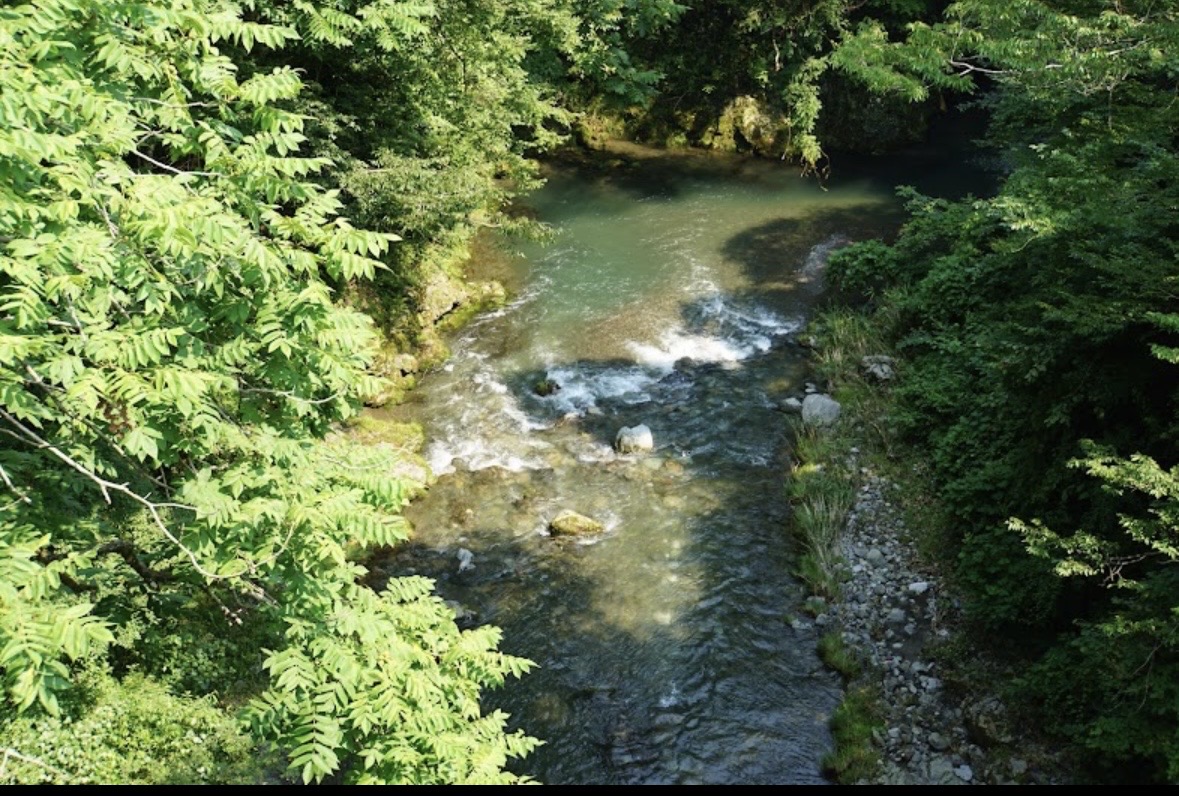 十里木ランドを流れる透明度の高い秋川渓谷の清流