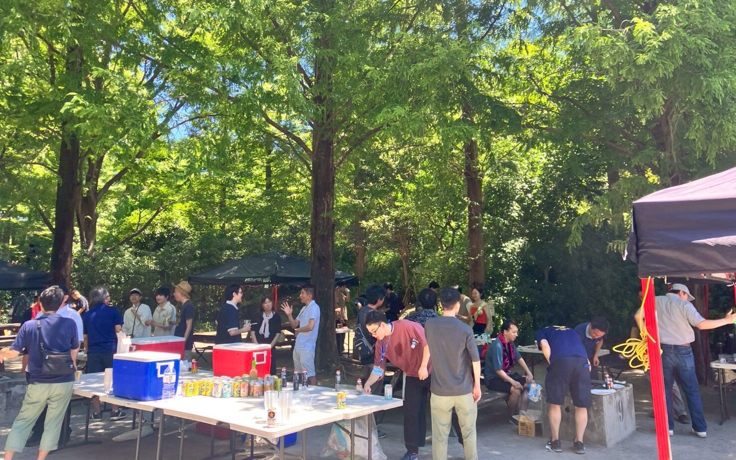BBQ 公園