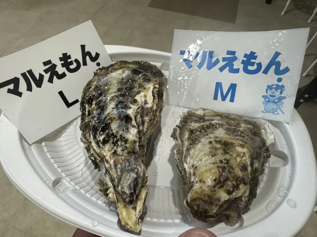 仙鳳趾の牡蠣を現地で確認