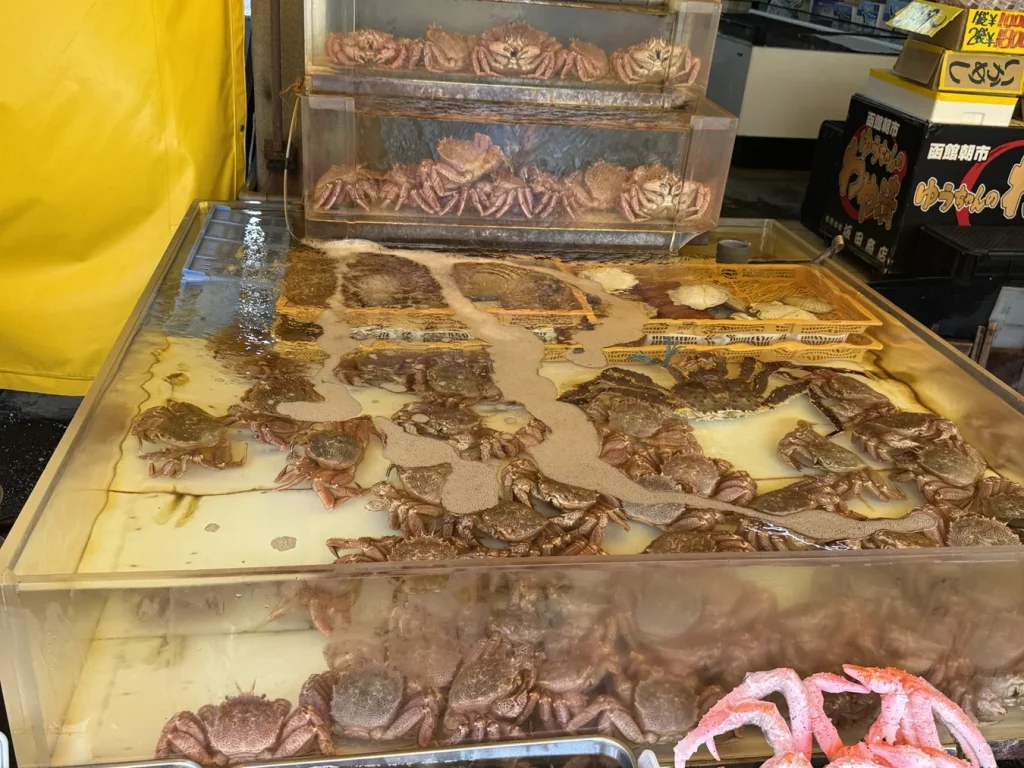函館朝市のカニ売り場